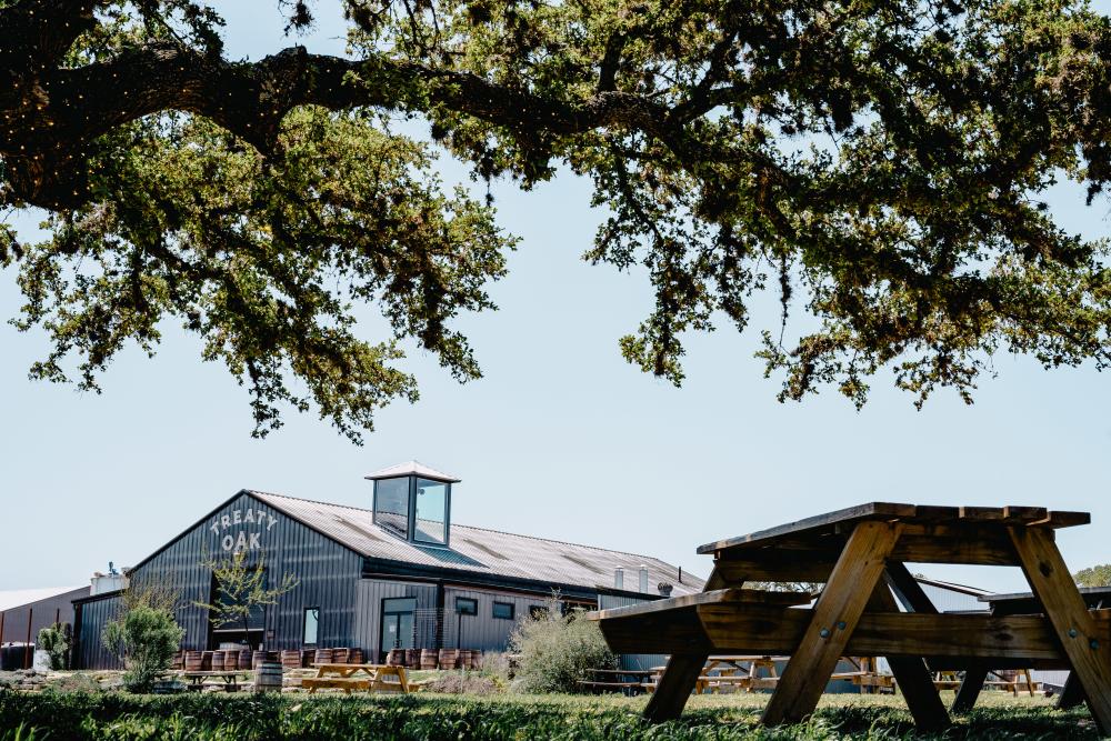picnic table under shady tree at Treaty Oak Distilling near Austin Texas