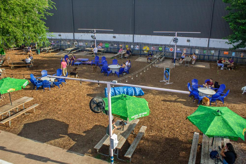 aerial photo of Yard Bar outdoor dog park with shaded picnic tables and space for dogs to play