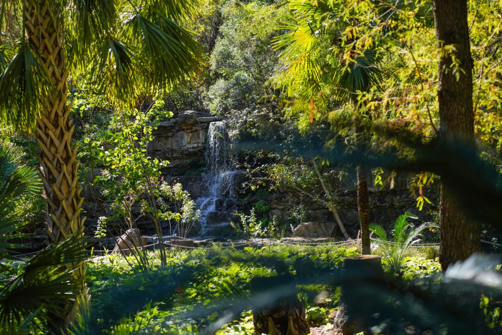 Photo of a rock waterfall surrounded by lush greenery and plants at the Zilker Botanical Garden.
