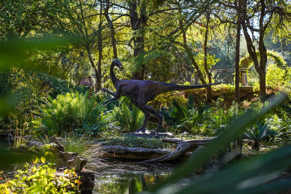 Photo of a dinosaur statue nestled among lush, green foliage at the Zilker Botanical Garden.