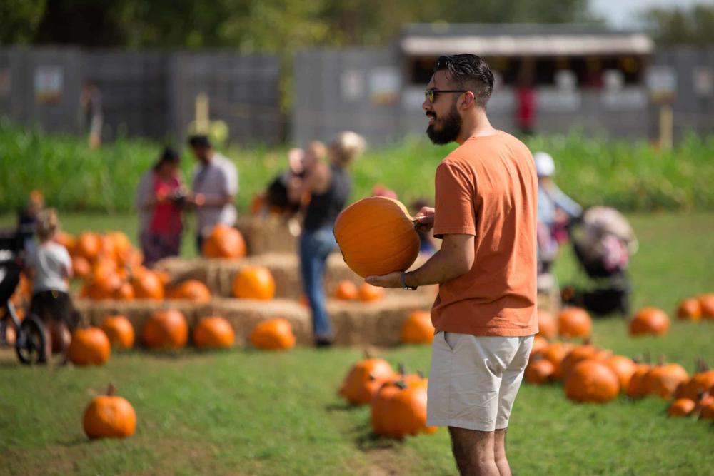 Barton Hill Farm’s Fall Festival