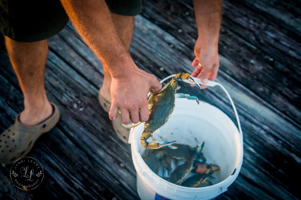 Crabs for Dinner!