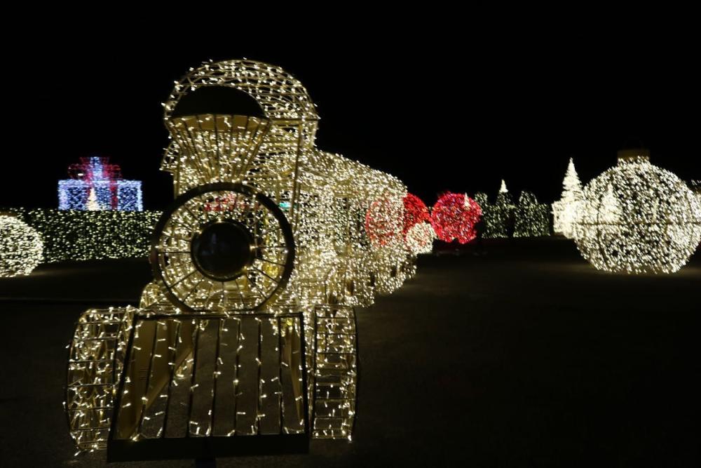 Ford Park Lights