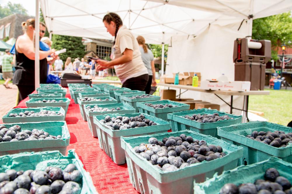 Celebrate one of summer's favorite fruits with a weekend full of treats and swinging country music during the Bluegrass & Blueberries Festival at Peddler's Village! Enjoy live bluegrass and folk tunes, children's activities and some of the finest blueberry foods.