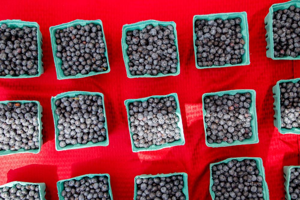 Fruit at Bluegrass & Blueberries in Peddlers Village