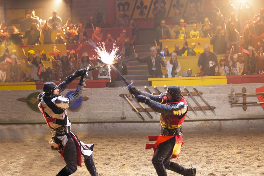 Medieval Times Dinner & Tournament - Jousting in Schaumburg, IL