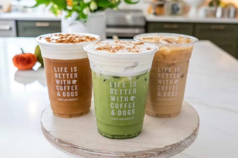 Lucky Lab Coffee Fall