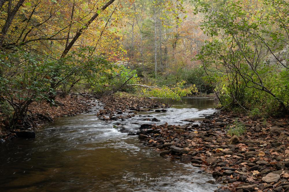 October at Rock Creek