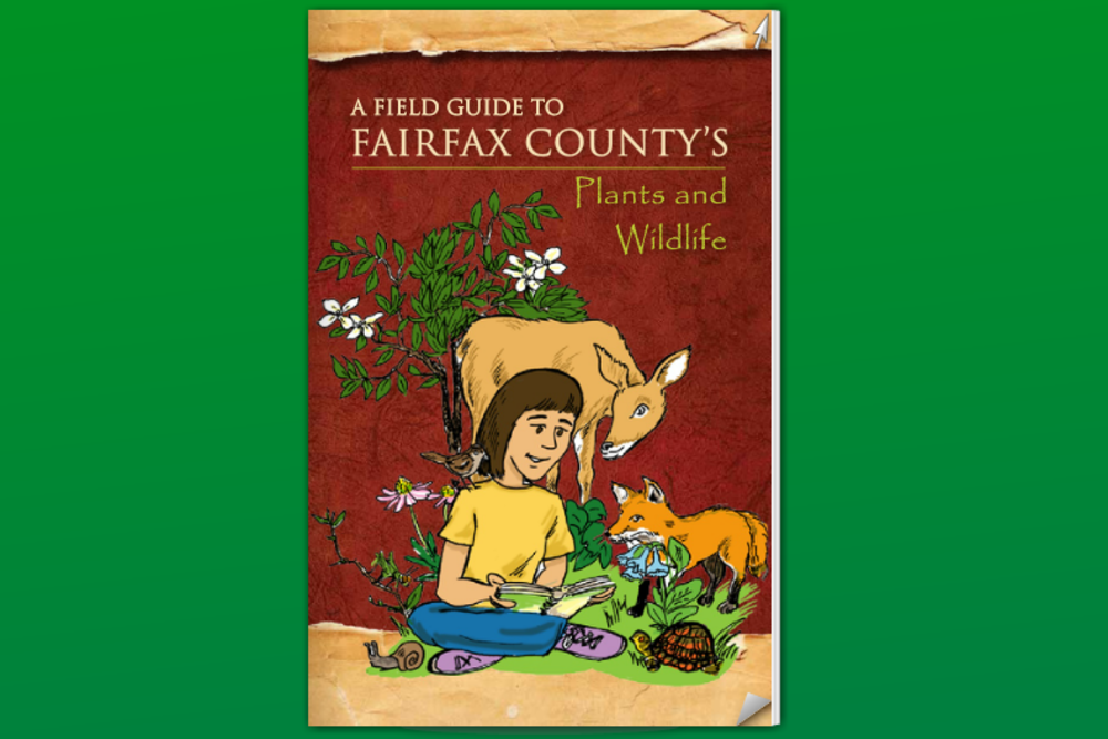 A Field Guide To Fairfax County's Plants and Wildlife