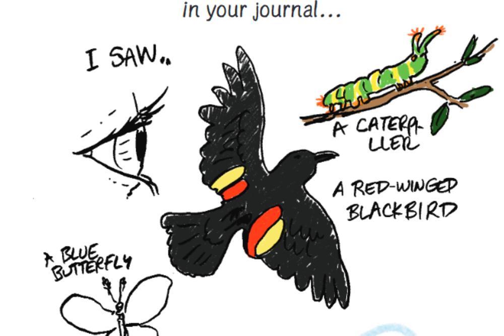 Fairfax County Field Journal