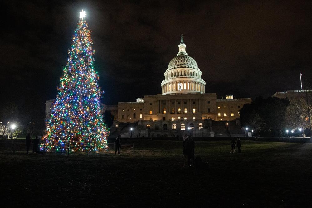 U.S. Capitol Christmas Tree