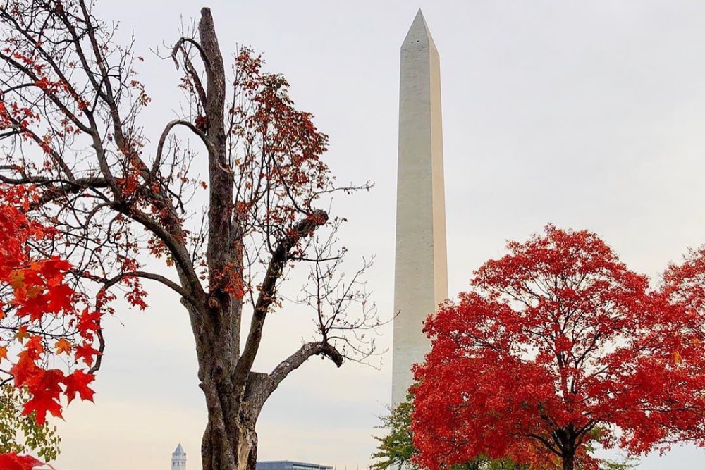 Washington Monument in Fall