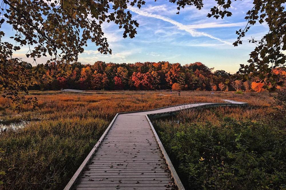 Huntley Meadows