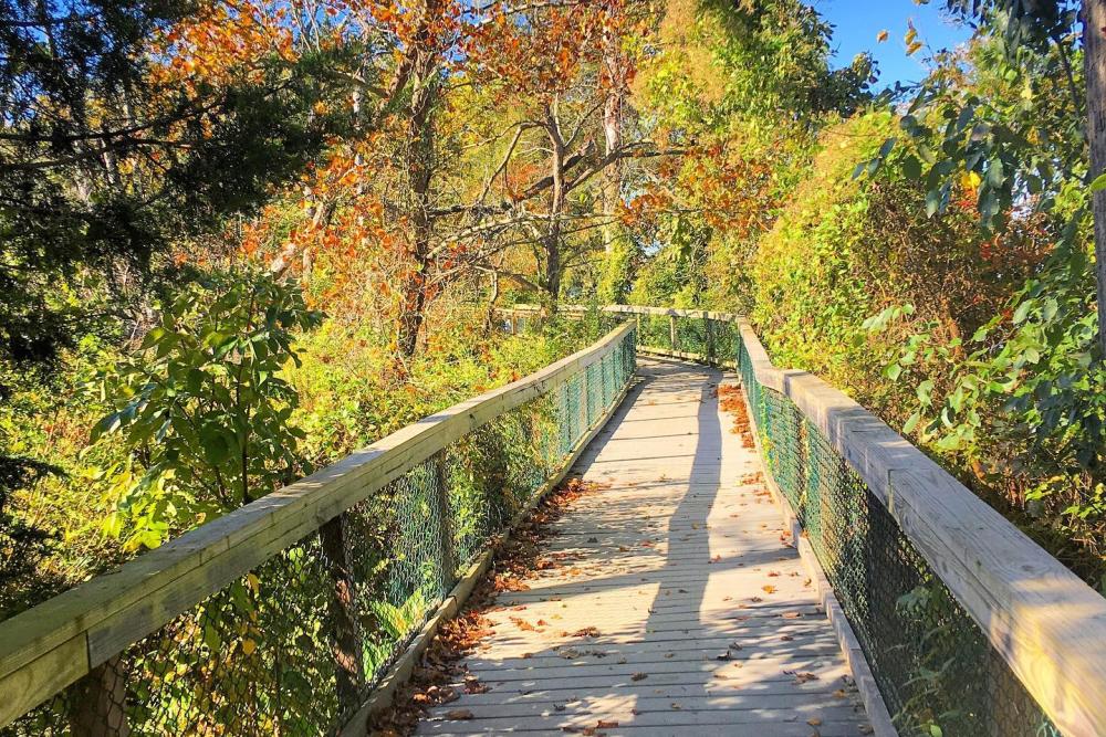 Mason Neck State Park