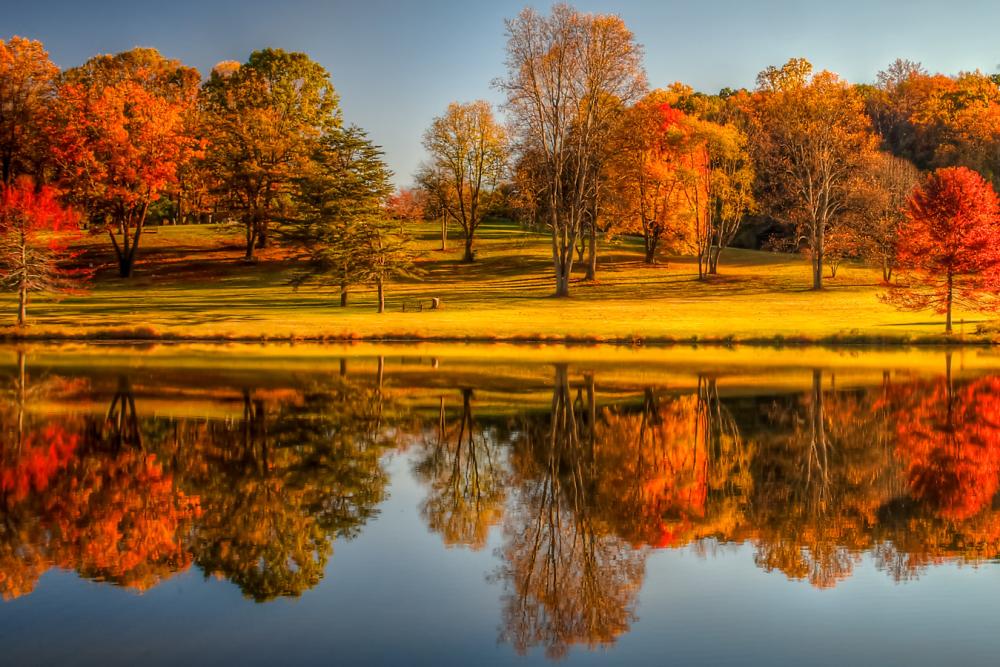 Meadowlark Fall