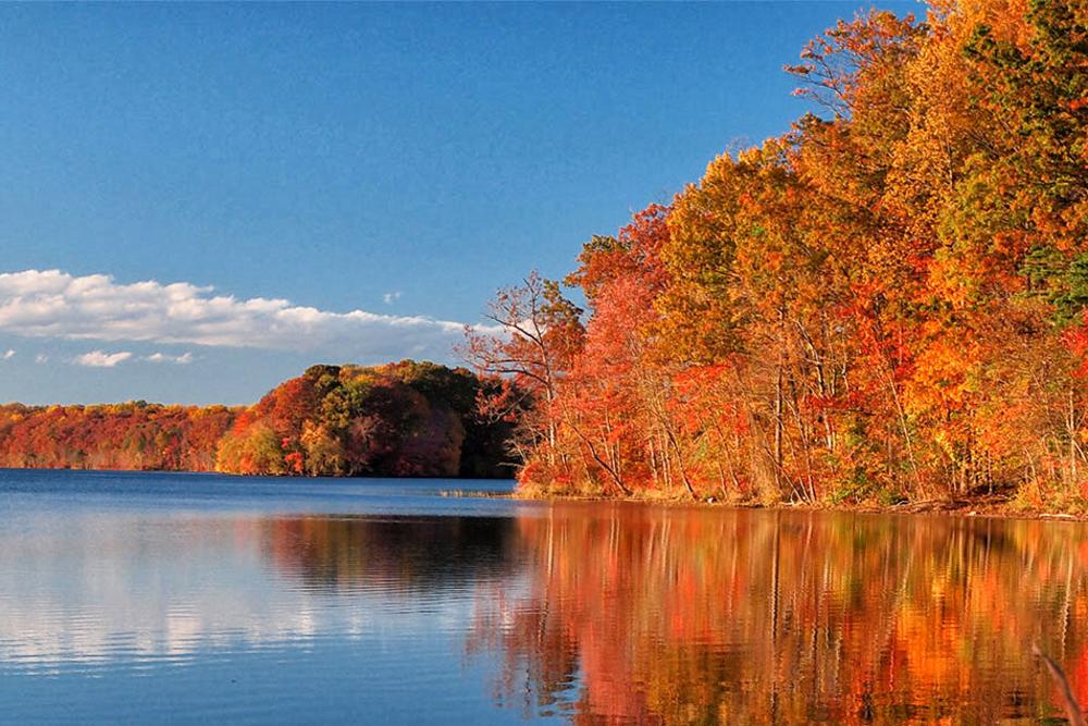 Burke Lake - Fall Leaf Watching