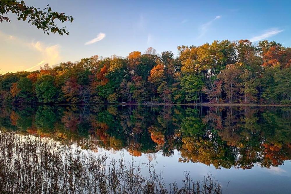 Burke Lake Park