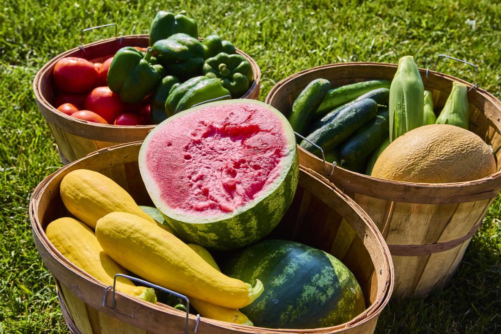 Kurtz Summer Produce