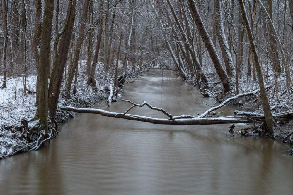Winter along the Cedar Creek in Bicentennial Woods in Fort Wayne, Indiana: Photo by Thomas Sprunger