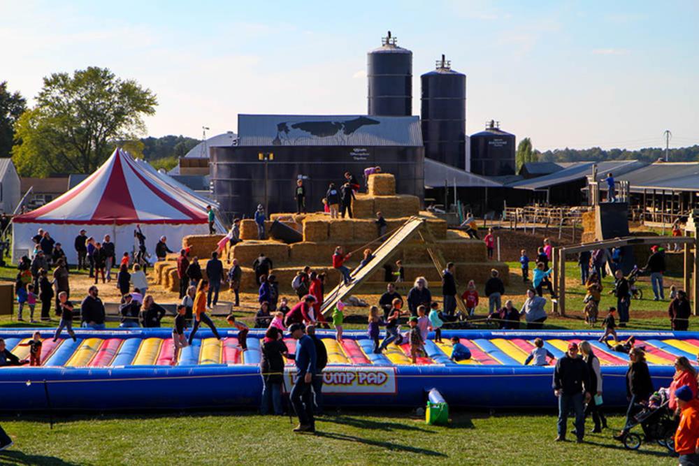 Crowd of people enjoying a sunny day at the Kuehnert Farm and Fall Festival