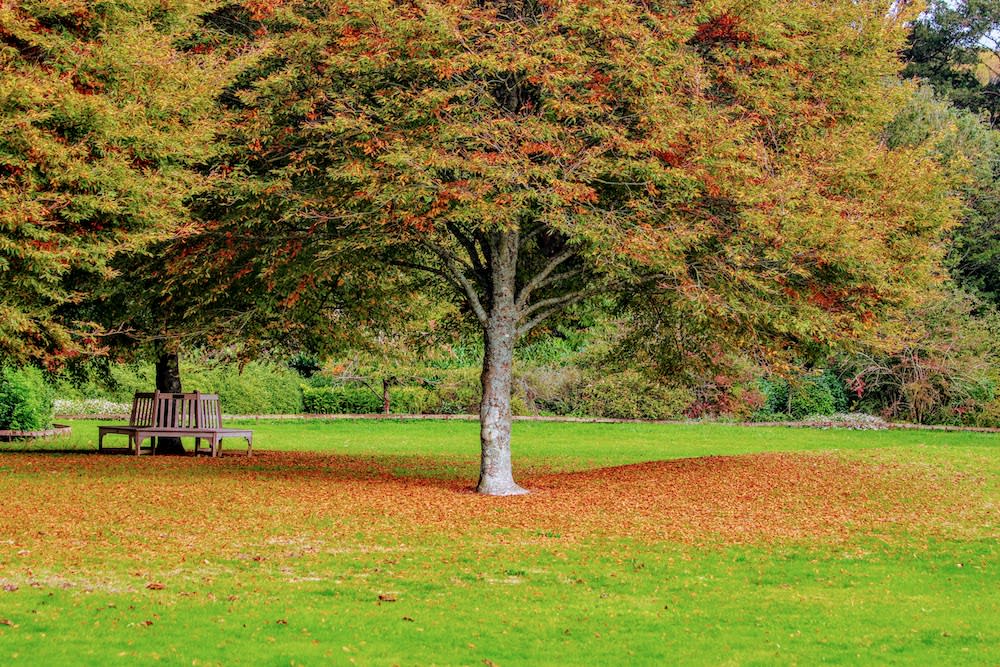West Dean Gardens