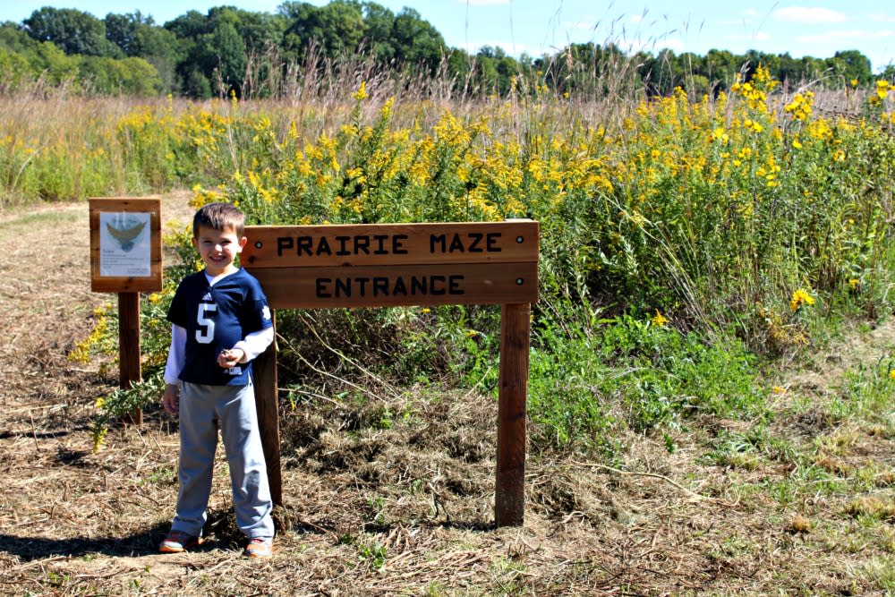 McCloud Nature Park Prairie Maze 
