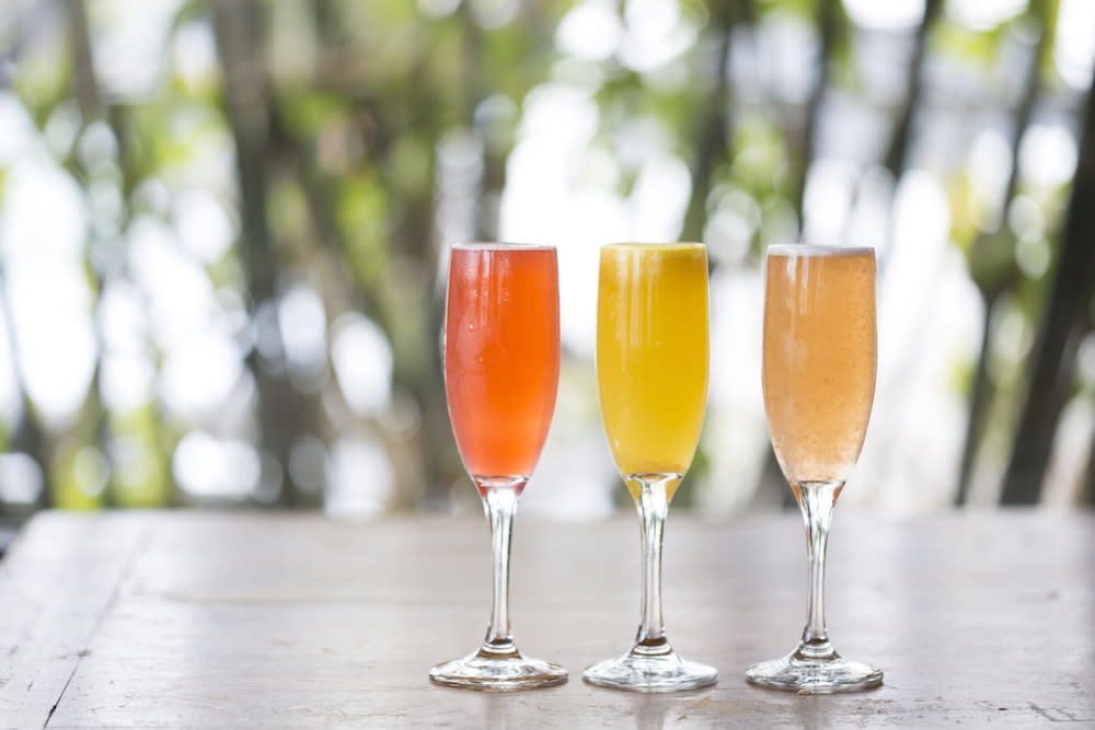 Mimosa flight