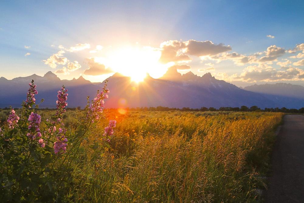 Summer Teton View