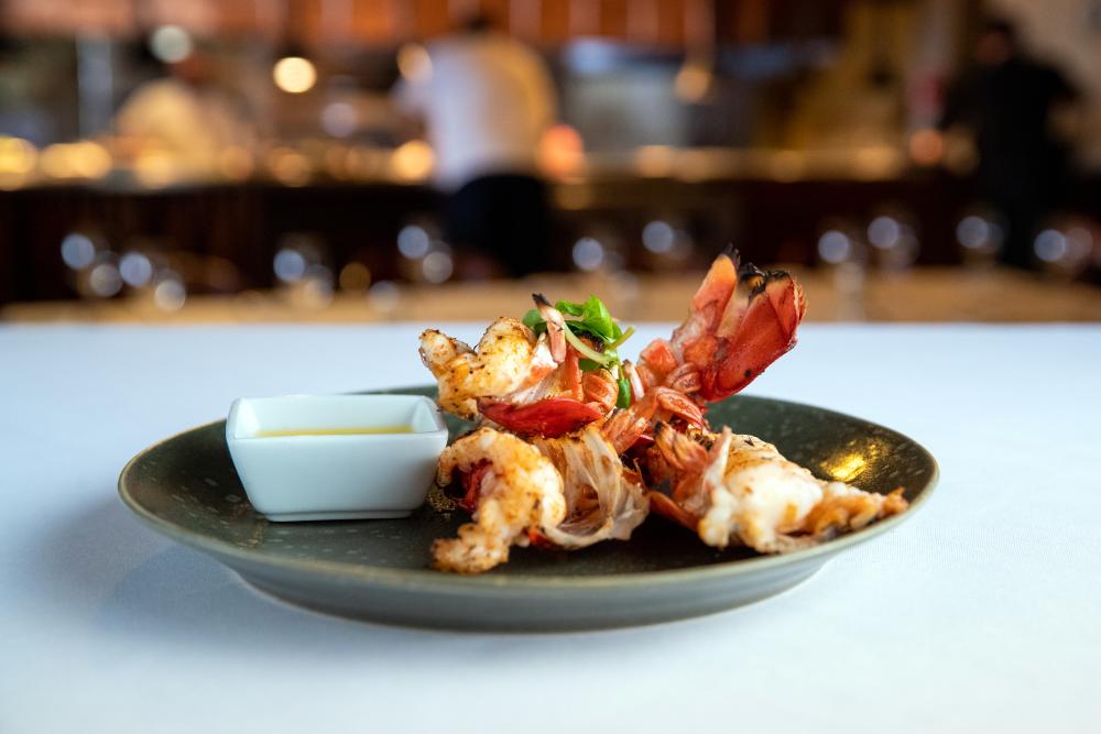 Dining_Chop House_lobster
