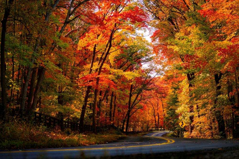 Snake Road in the middle of fall, full of vibrant colors.