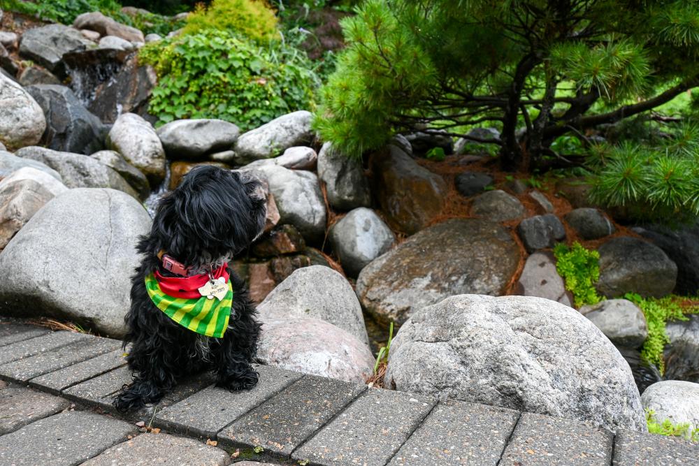 Bella at The Sunken Gardens
