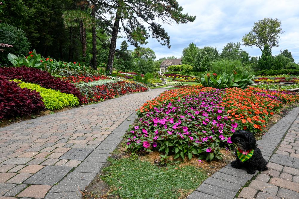 Bella at Sunken Gardens