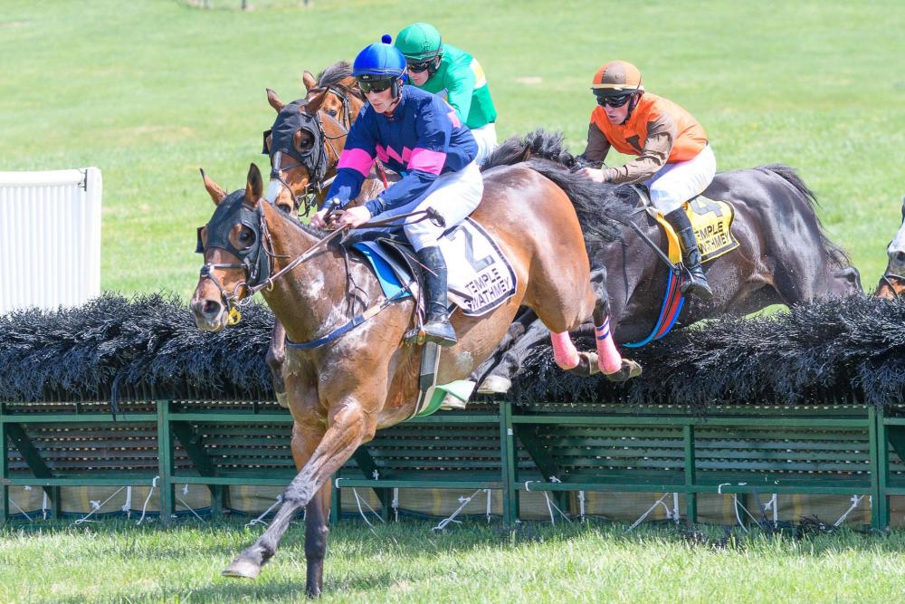 Horses and riders jumping a hurdle at the Middleburg Spring Races at Glenwood Park in Middleburg, Virginia