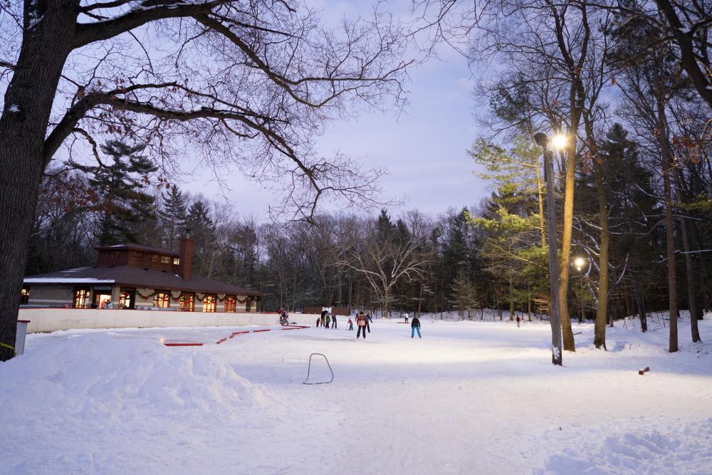 Ice Rink