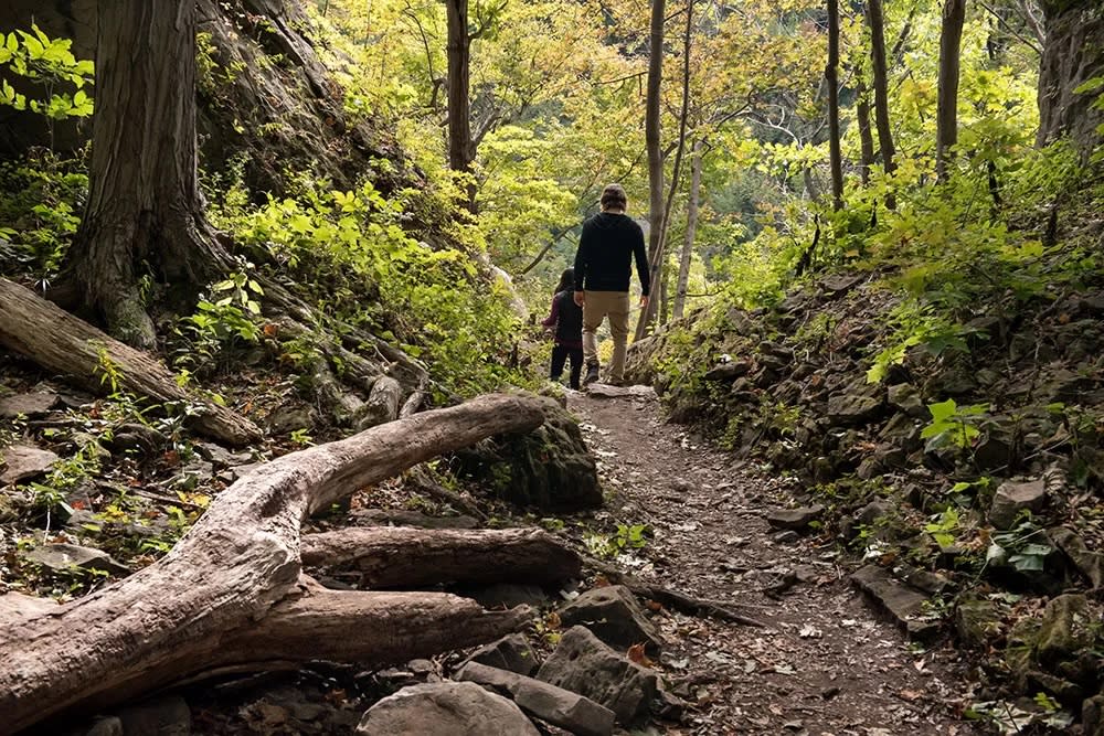Niagara Glen Hikers