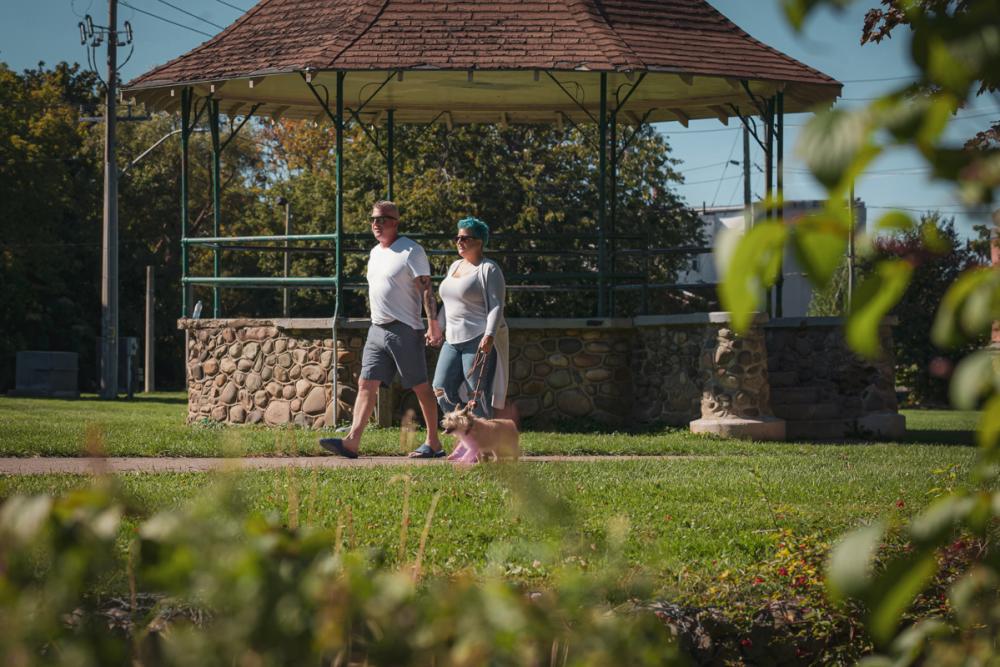 couple walking a dog