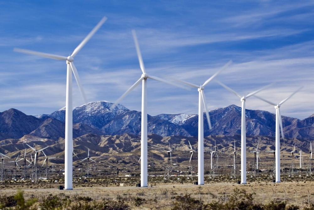 windmills