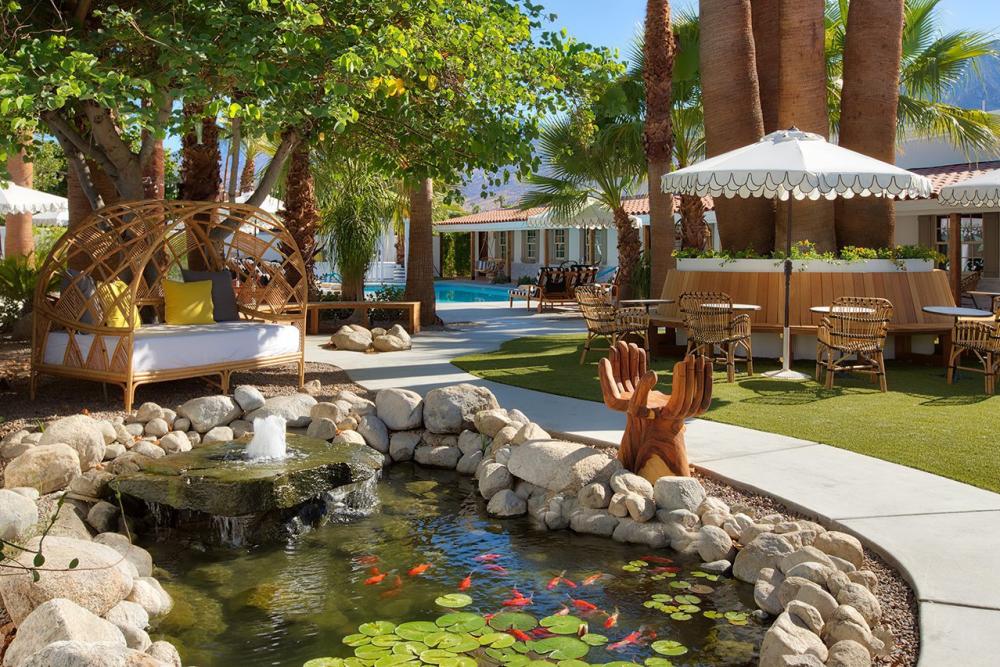 Dive Palm Springs 