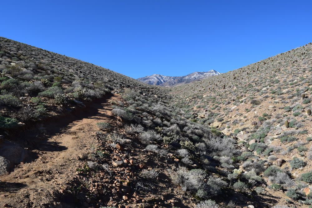 Jo Pond Trail Palm Canyon