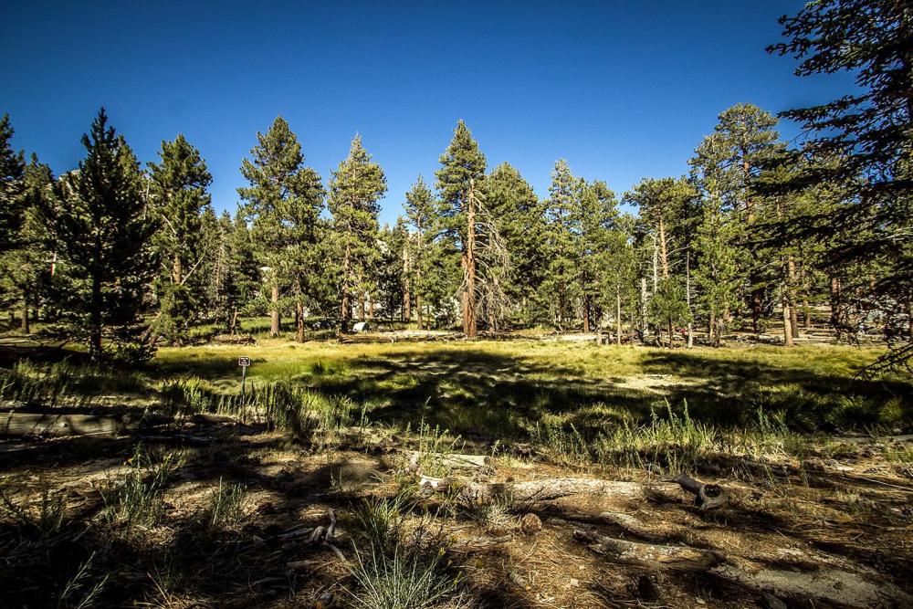 Mount San Jacinto State Park