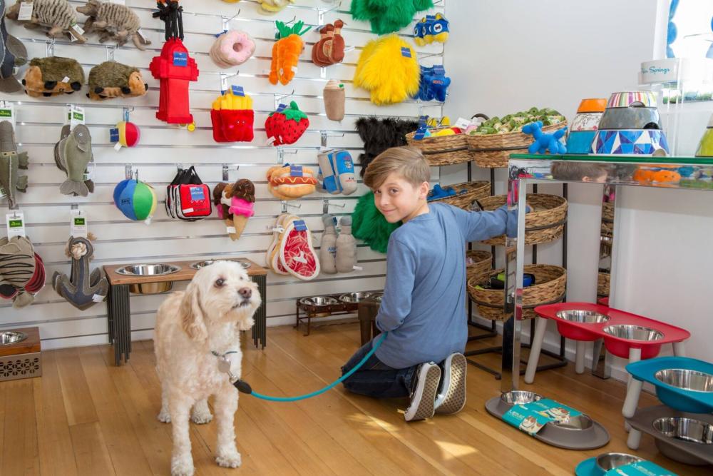 posh pet care