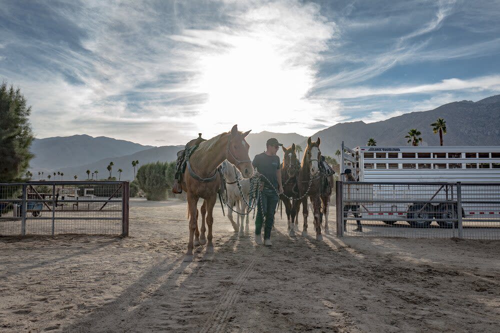 smoke tree stables credit Olivier Mastey