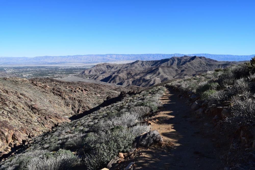 west for trail palm canyon