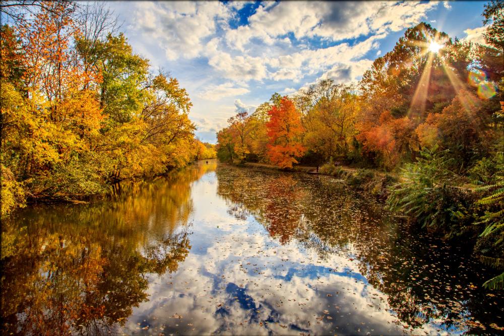 Trees with fall colors hanging over the canal at the Delaware & Raritan Canal State Park