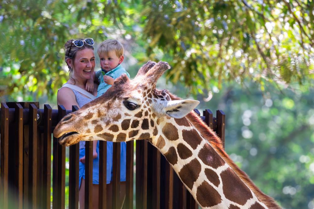 Mom and Son on the Giraffe Deck at the North Carolina Zoo
