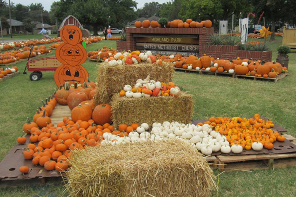 Pumpkin Patch at Lost Creek Safari