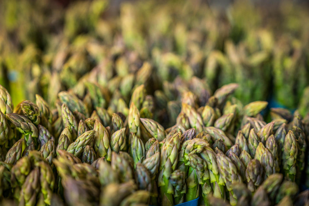 Sacramento Farmers Market Asparagus