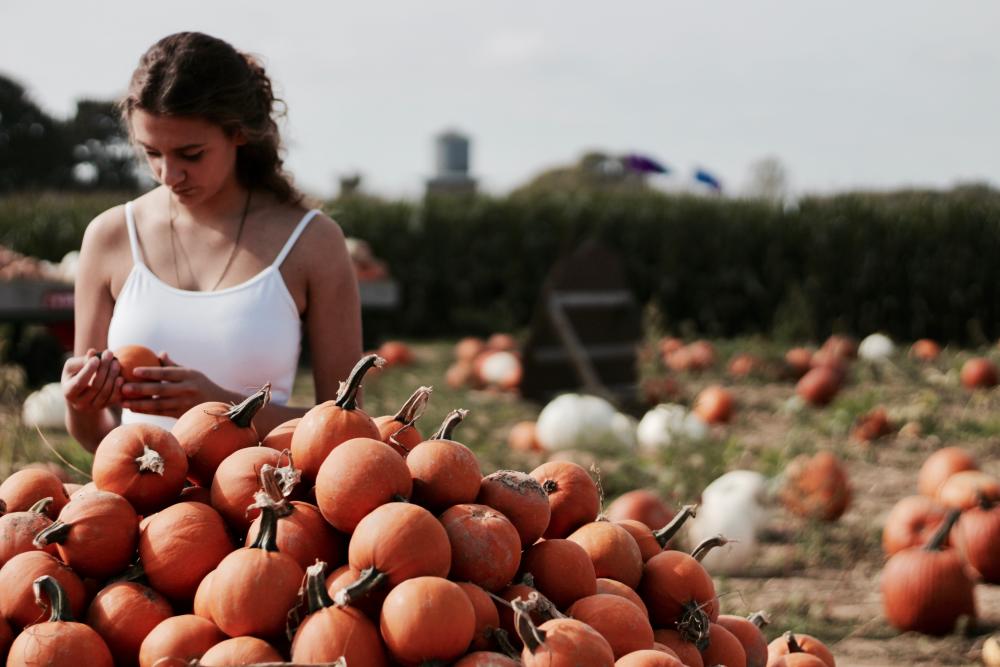 Woman-selecting-pumpkins-at-a-pumpkin-farm,