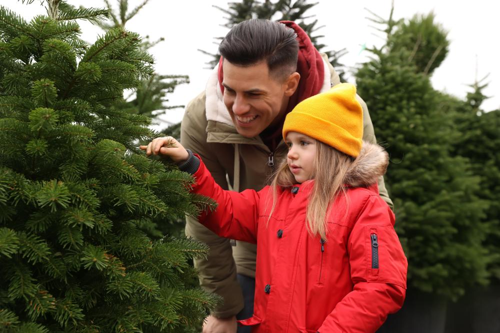 Dad and daughter at Christmas tree farm