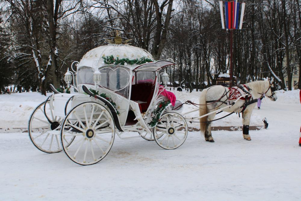 carriage ride